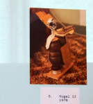 Vogel 1978